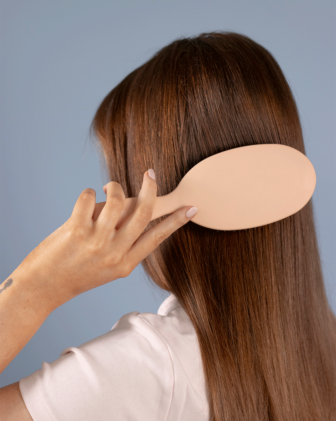 The Professional Hairbrush